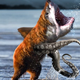 Illustration for article titled Otters Oddities